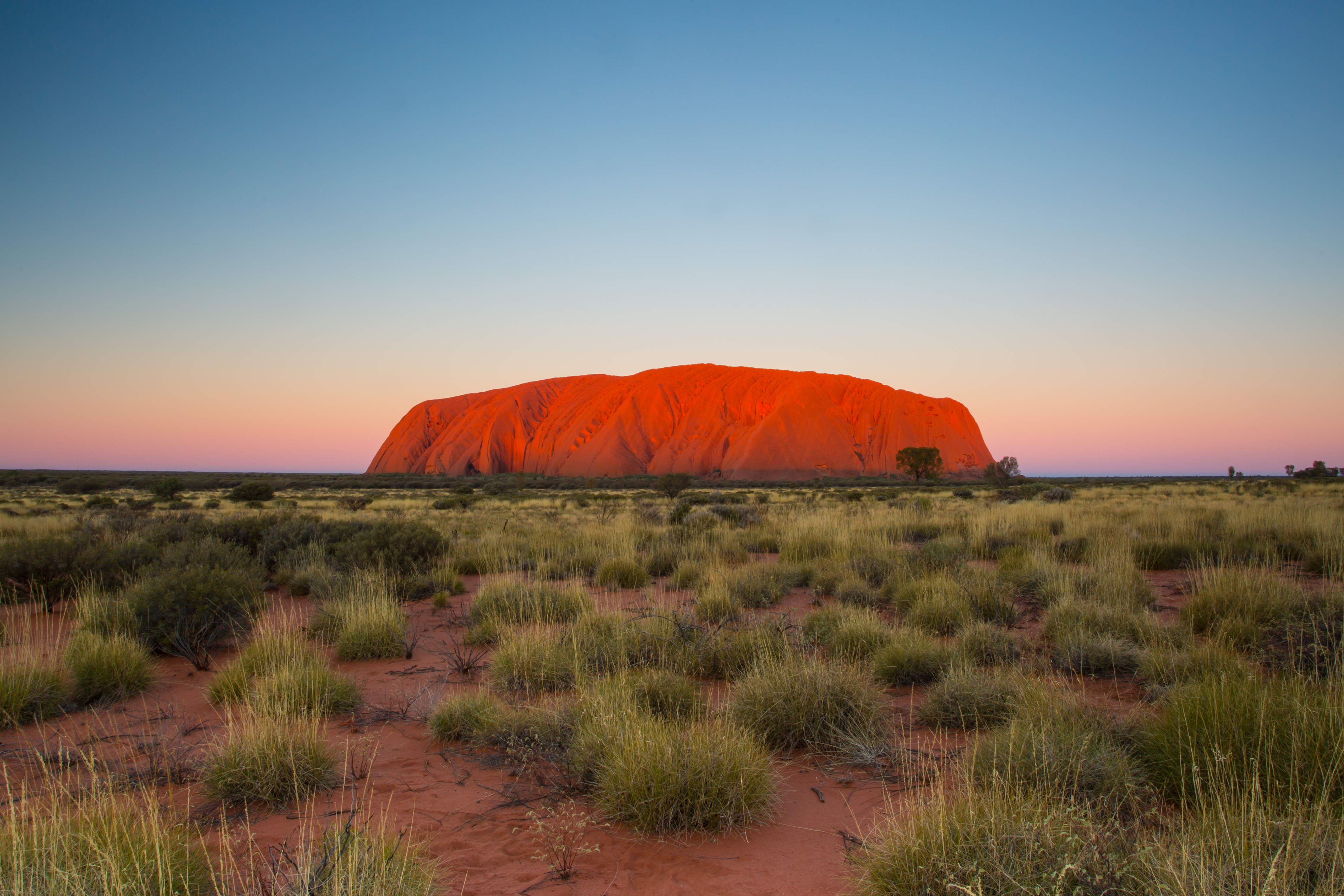 Uluru glowing red at sunset across the desert plains